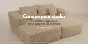 canapé pour studio surtout pour un espace réduit