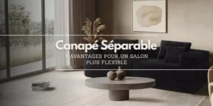 Canapé séparable dans un salon moderne Sofa Compress